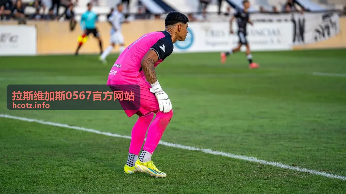 拉斯维加斯0567深度内容专题